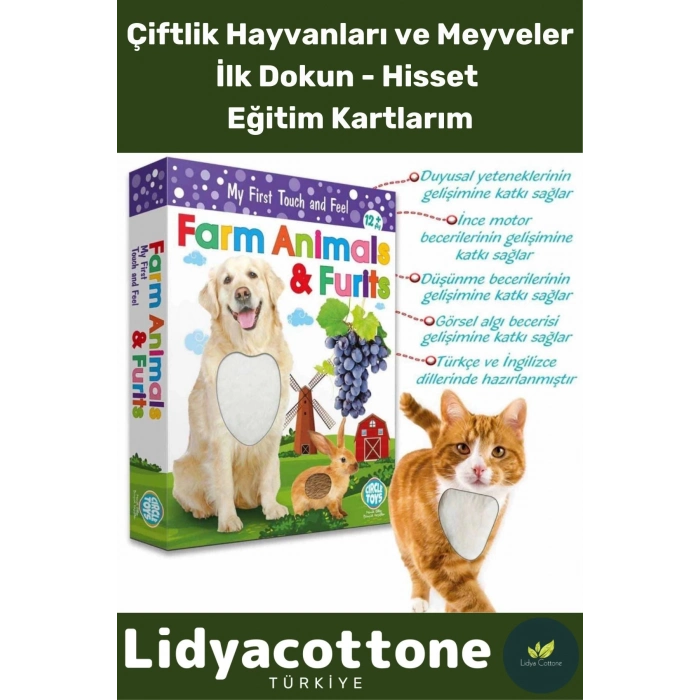 Premium I?nce Motor Gelişimi Görsel Algı Öğrenme Dokun Hisset Çiftlik Hayvanları Ve Meyveler