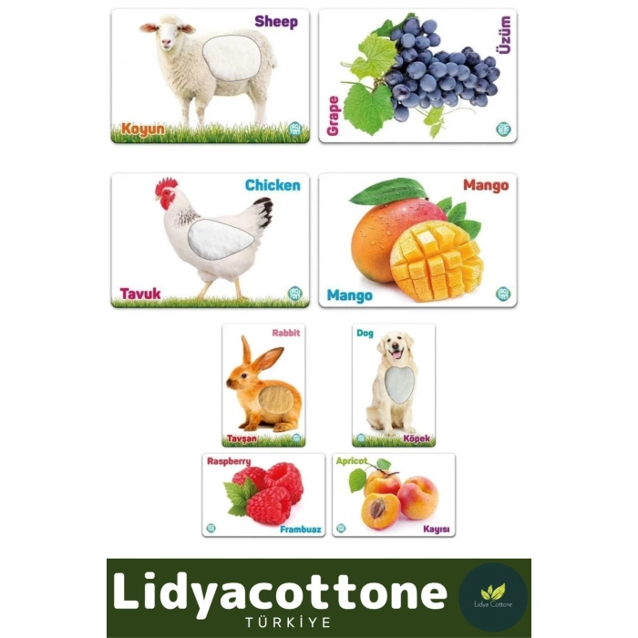 Premium I?nce Motor Gelişimi Görsel Algı Öğrenme Dokun Hisset Çiftlik Hayvanları Ve Meyveler