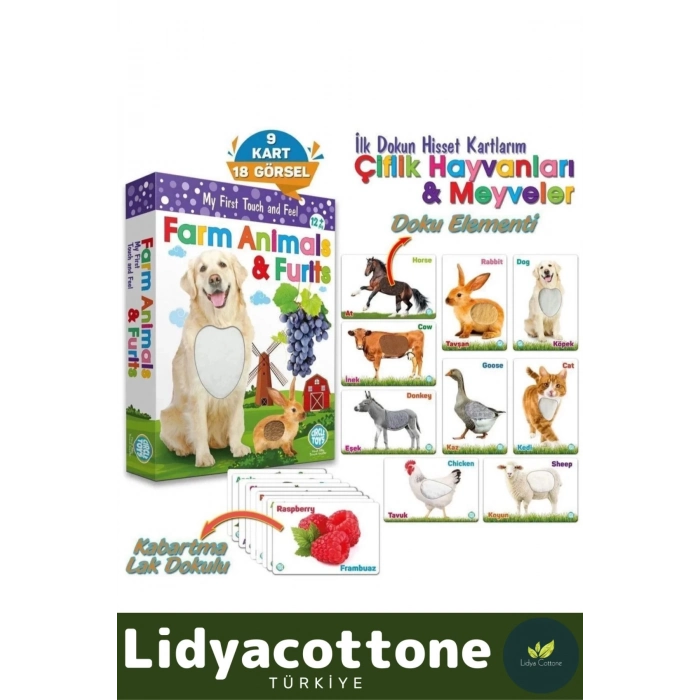 Premium I?nce Motor Gelişimi Görsel Algı Öğrenme Dokun Hisset Çiftlik Hayvanları Ve Meyveler