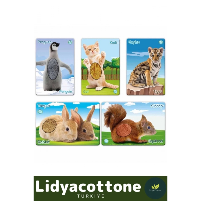 Premium İnce Motor Gelişimi Görsel Algı Eğlenceli Eğitim Kartları Dokun Hisset Tanı Yavru Hayvanlar