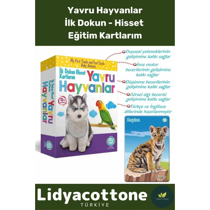 Premium İnce Motor Gelişimi Görsel Algı Eğlenceli Eğitim Kartları Dokun Hisset Tanı Yavru Hayvanlar