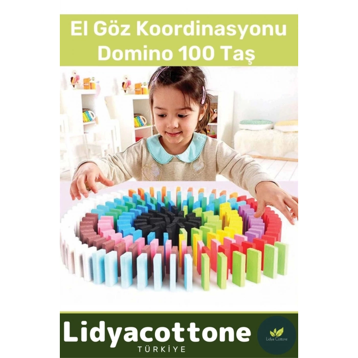 Zeka Geliştirici Eğitici El Göz Koordinasyonu Okul Öncesi Eğitim Renkli Domino 100 Taş
