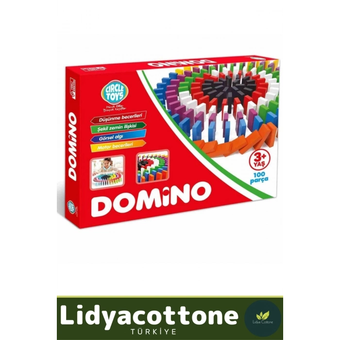 Zeka Geliştirici Eğitici El Göz Koordinasyonu Okul Öncesi Eğitim Renkli Domino 100 Taş