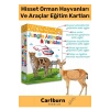 Özel Üretim Görsel Algı Eğlenceli Öğrenme Hisset Orman Hayvanları Ve Araçlar Eğitim Kartları