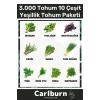 12 Ay Ekim Yapılabilen 3.000 Tohum Ayrı Ayrı Paketli 10 Çeşit Yeşillik Sürdürülebilir Tohum Paketi