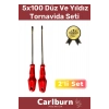 Premium Dayanıklı Hafif Taşınabilir Sağlam Ergonomik Vidalama Düz Yıldız 2li Tornavida Seti 5x100