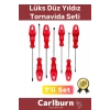 Premium Dayanıklı Taşınabilir Sağlam Ergonomik Vidalama Tamir Tadilat Düz Yıldız 7li Tornavida Seti