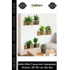 Özel Üretim Modern Şeffaf Lazer Kesim Şık Raflı Bitki Tasarımlı Yapışkanlı Sticker 20x30 cm 3lü Set