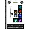 Özel Üretim Dekoratif Dış Mekan Solar Armatür Zambak Solar Güneş Enerjili Bahçe Lambası RGB 2 Li Set