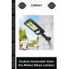 Özel Üretim Güneş Enerjili Sensörlü Su Geçirmez Uzaktan Kumandalı Solar Dış Mekan Bahçe Lambası