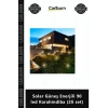 Özel Üretim Havaifişek Dekorasyon Bahçe Günışığı Solar Güneş Enerjili 90 led Karahindiba 2li set