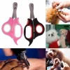 Özel Üretim Kedi Köpek Paslanmaz Pratik Kesim Kaliteli Evcil Hayvan Tırnak Makası Törpü Seti