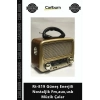 Özel Üretim Everton Şarjlı Radyo Bluetooth Rt819 Güneş Enerjili Nostaljik Fmauxusb Müzik Çalar