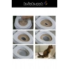 Premium Seri Klozet Alıştırma Kapağı Kum Kabı WC Yavru Yetişkin Kedi Hijyenik Tuvalet Eğitim Seti