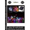 #Solar Dış Mekan Peyzaj Solar 30 Ledli Çiçekli RGB Bahçe Aydınlatma Dekorasyon Güneş Enerjili