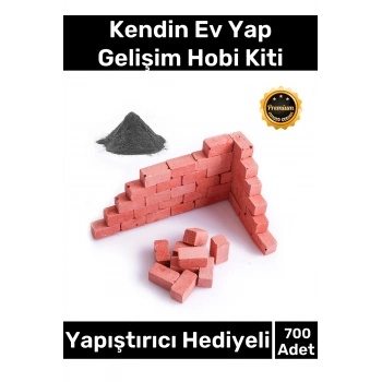 Premium Minyatür Mini Kendin Ev Yap Inşaat Yapı 700 Adet Tuğla Hobi Seti - Yapıştırıcı Hediyeli Kit