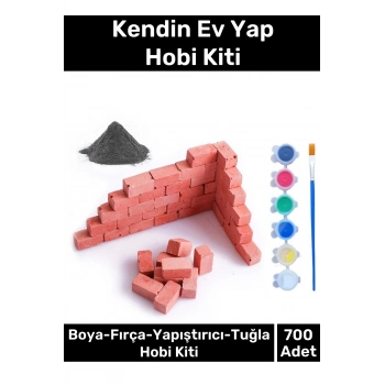 Premium Serisi Özel Minyatür Mini Inşaat Yapı Seti 700 Adet Tuğla Boya Fırça Tutkal Hobi Seti