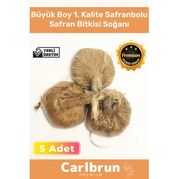 Premium Özel Dikime Hazır Yerli Üretim Büyük Boy 1. Kalite Safranbolu Safran Bitkisi Soğanı - 5 Adet