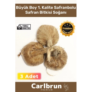 Premium Özel Dikime Hazır Yerli Üretim Büyük Boy 1. Kalite Safranbolu Safran Bitkisi Soğanı - 3 Adet