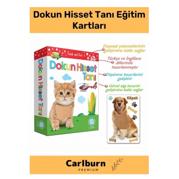 Özel Üretim Duyusal Gelişim Görsel Algı Eğlenceli Öğrenme Çocuk Dokun Hisset Tanı Eğitim Kartları