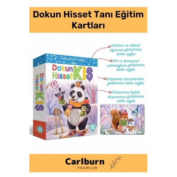 Özel Üretim Duyusal Gelişim Görsel Algı Eğlenceli Öğrenme Çocuk Hisset Tanı Kış Eğitim Kartları