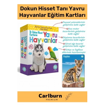 Özel Üretim Görsel Algı Eğlenceli Öğrenme Gelişim Dokun Hisset Tanı Yavru Hayvanlar Eğitim Kartları