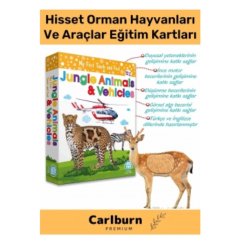 Özel Üretim Görsel Algı Eğlenceli Öğrenme Hisset Orman Hayvanları Ve Araçlar Eğitim Kartları