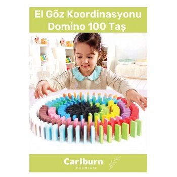 Özel Üretim Zeka Geliştirici Eğitici El Göz Koordinasyonu  Domino 100 Taş
