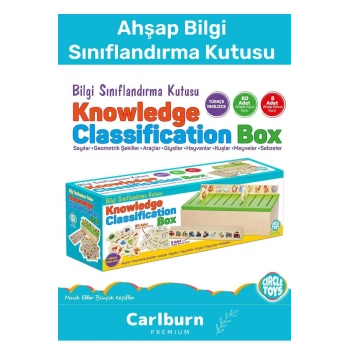 Özel Üretim Zeka Geliştirici Kişisel Gelişim Çocuk Ahşap Bilgi Sınıflandırma Kutusu