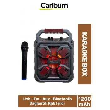 Yüksek Ses Şarj Edilebilir Aux Usb Hafıza Kart Girişli Kablosuz Hoparlör Mikrofon Siyah Karaoke Box