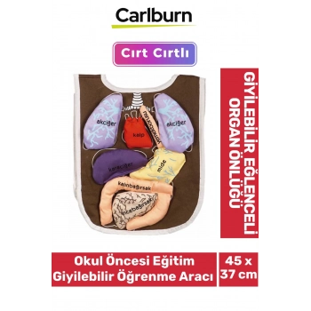 Cırt Yapışkanlı Zeka Geliştirici Okul Öncesi Eğitim Giyilebilir Öğrenme Aracı Eğlenceli Organ Önlüğü