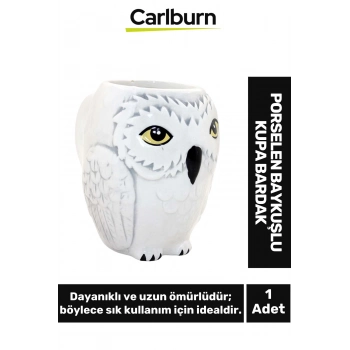 Özel Tasarım Dekoratif Şık Hediyelik Sevgili Eş Dost Arkadaş Porselen Baykuşlu Kupa Bardak 12*13 Cm