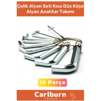 Özel Üretim Tamir Usta Çırak Bozuk Vida 10 Parça Çelik Alyan Seti Kısa Düz Köşe Alyan Anahtar Takımı