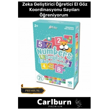 Eğitici Zeka Geliştirici Öğretici El Göz Koordinasyonu Aile Boyu 45 Parça Sayıları Öğreniyorum