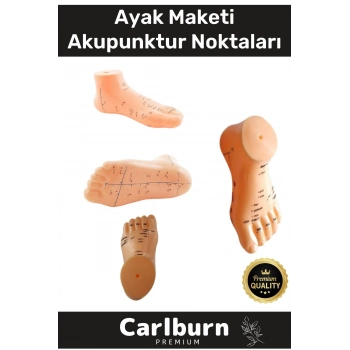 Özel Üretim Kaliteli İnsan Anatomisine Uyumlu Muayene Maket 20Cm Ayak Maketi Akupunktur Noktası