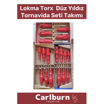 Premium Dayanıklı Ev İş Tamirat Tadilat Vida Lokma Torx Düz Yıldız Tornavida Seti Takımı