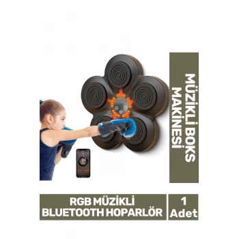 Özel Üretim Rgb Müzikli Bluetooth Hoparlör Genç Yetişkin Boks Egzersiz Müzikli Boks Makinesi