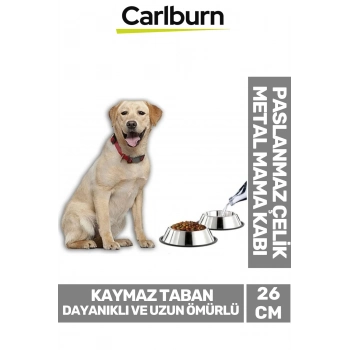 Özel Üretim Dayanıklı Uzun Ömürlü Sağlam Şık Paslanmaz Çelik Metal Kedi Köpek Mama Su Kabı 26 cm