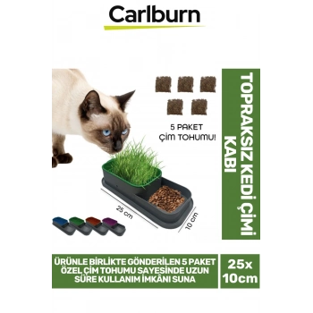 Özel Üretim 5 Adet Kedi Çimi Tohumu Topraksız Kedi Çimi Kabı 25x10cm