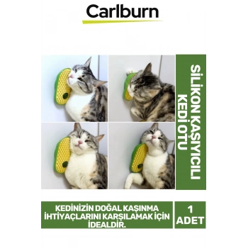 Premium Seri Yumuşak Çıkıntılı Yapı Yapışkanlı Silikon Kaşıyıcılı Kedi Otu