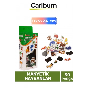 Özel Üretim Eğitici Zeka Geliştirici Öğretici El Göz Koordinasyonu Manyetik Hayvanlar - 30 Parça