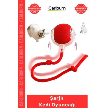 Özel Üretim İnteraktif Titreşimli Hareketli İpli Dayanıklı Avcı İçgüdüsü Şarjlı Kedi Oyuncağı