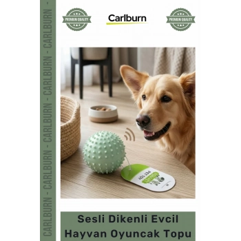 Özel Üretim Dayanıklı Kauçuk Diş Kaşıyıcı Kedi Köpek Çiğneme Sesli Dikenli Evcil Hayvan Oyuncak Topu