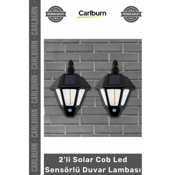 Özel Üretim Bahçe Aydınlatma Güneş Enerjili Su Geçirmez 2li Solar Cob Led Sensörlü Duvar Lambası
