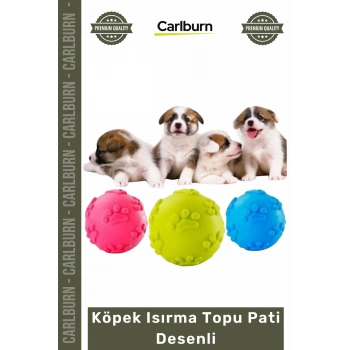 Özel Üretim Dayanıklı Kauçuk Eğitici Diş Kaşıma İnteraktif Sağlam Köpek Isırma Topu Pati Desenli