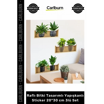 Özel Üretim Modern Şeffaf Lazer Kesim Şık Raflı Bitki Tasarımlı Yapışkanlı Sticker 20x30 cm 3lü Set