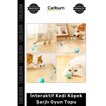 Özel Üretim Akıllı Otomatik Hareketli Zıplayan Sessiz Silikon İnteraktif Kedi Köpek Şarjlı Oyun Topu