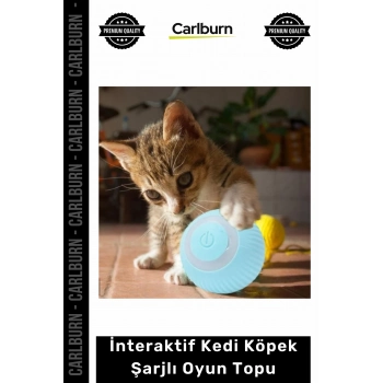 Özel Üretim Akıllı Otomatik Hareketli Zıplayan Sessiz Silikon İnteraktif Kedi Köpek Şarjlı Oyun Topu