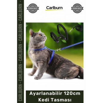 #KediTasması Renkli Lacivert Mavi Kırmızı Siyah Konforlu Dayanıklı Ayarlanabilir 120cm Kedi Tasması