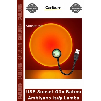 #GeceLambası Fotoğraf Video Çekim Esnek Gövde Taşınabilir USB Sunset Gün Batımı Ambiyans Işığı Lamba